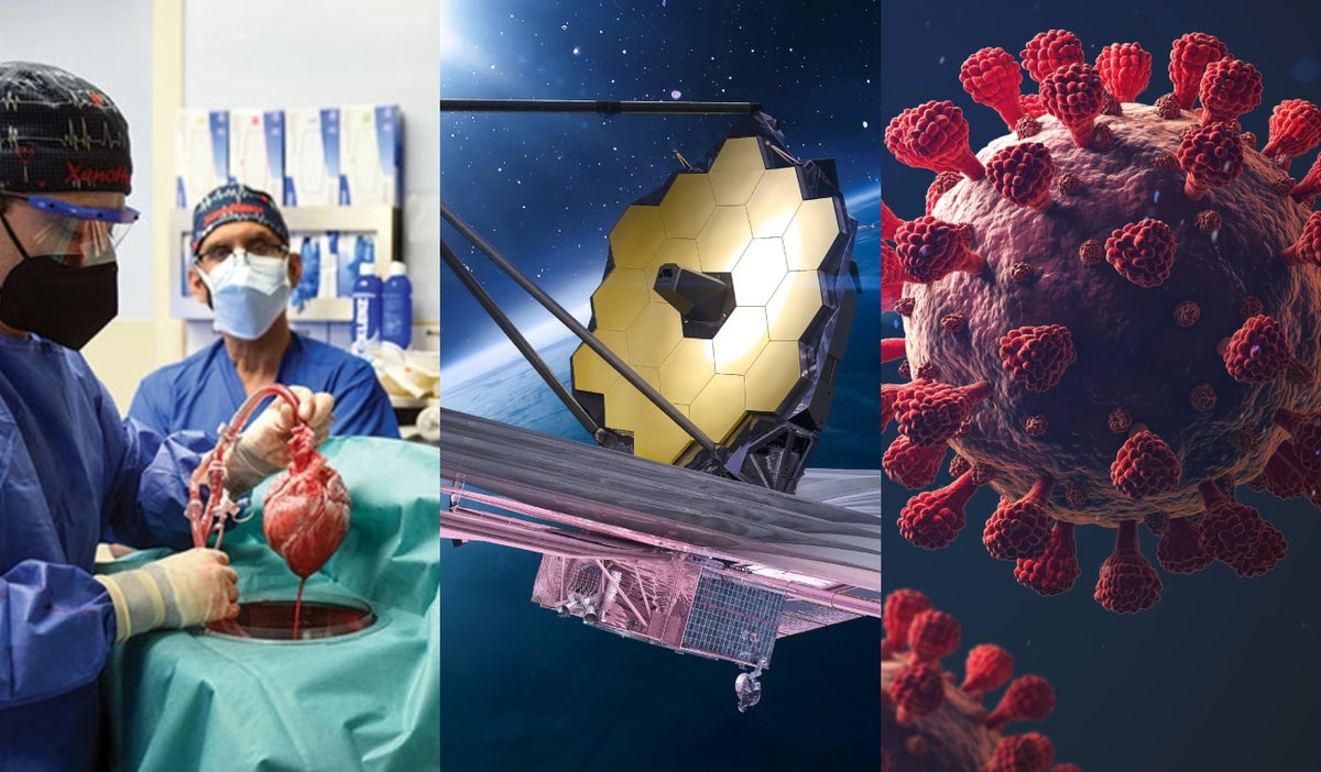 Personalidades y casos que han marcado la ciencia en el 2022 según Nature