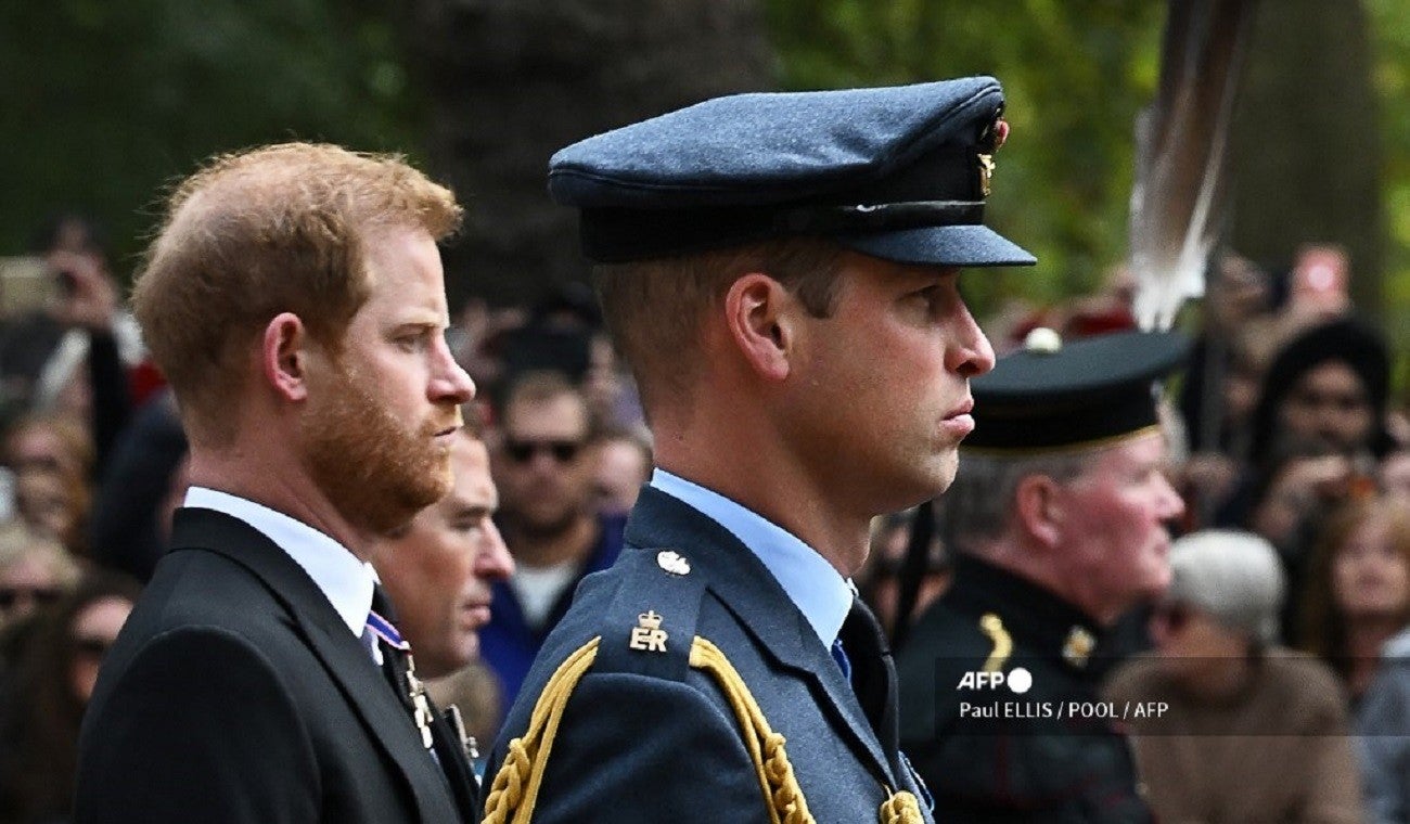 Principes Harry y Guillermo