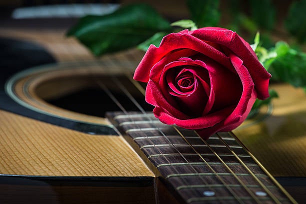 Serenata fallida