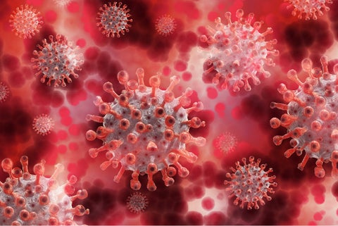 Virus desde el microscopio
