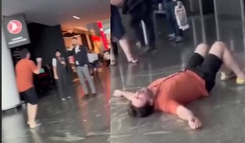 Aerolínea pierde 4 perros y su dueño se desespera