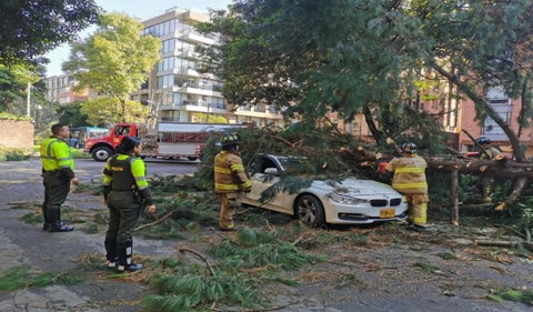 Árbol caído en Bogotá