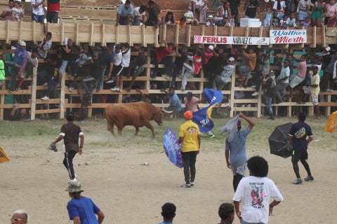 Corralejas en Necoclí, Antioquia