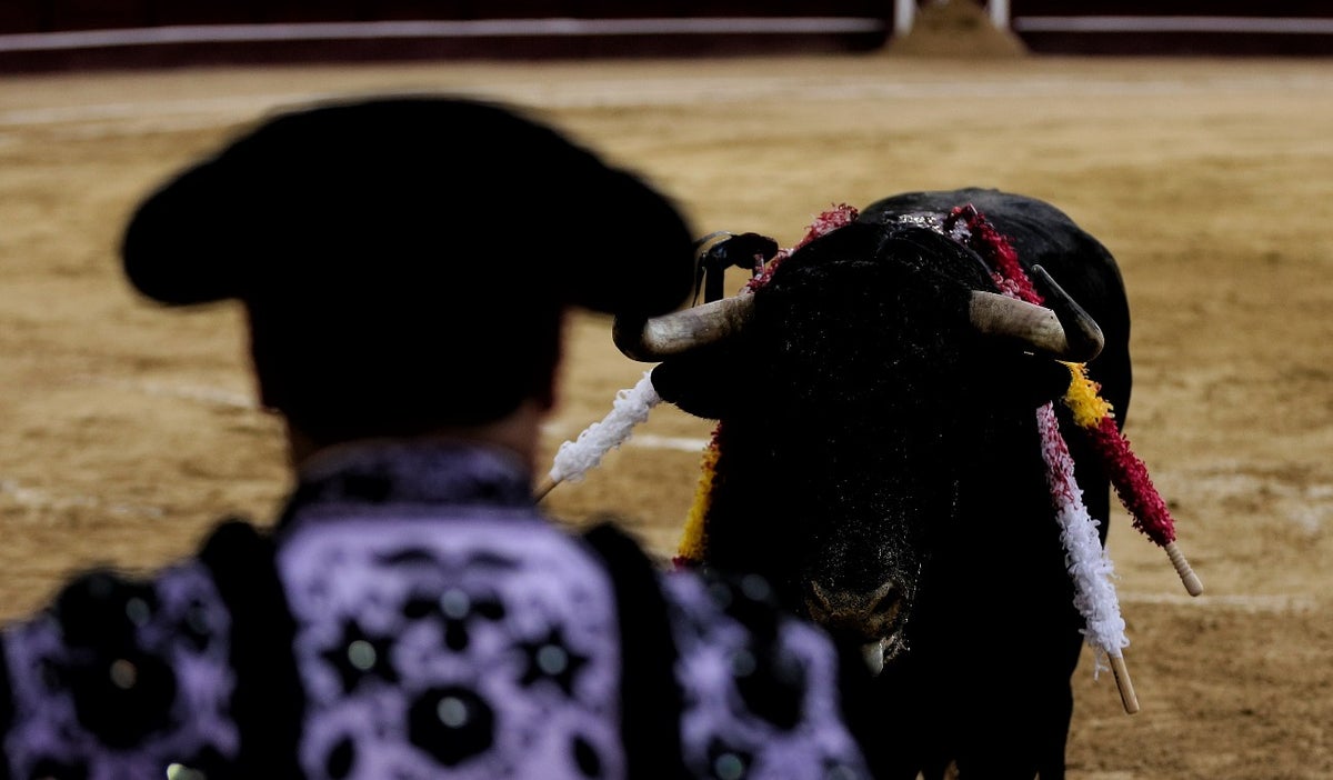Corridas de toros en Bogotá