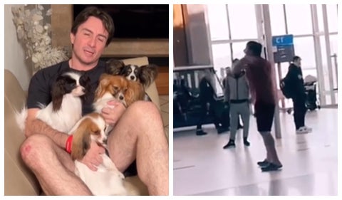 Hombre encontró a sus perritos extraviados en aeropuerto