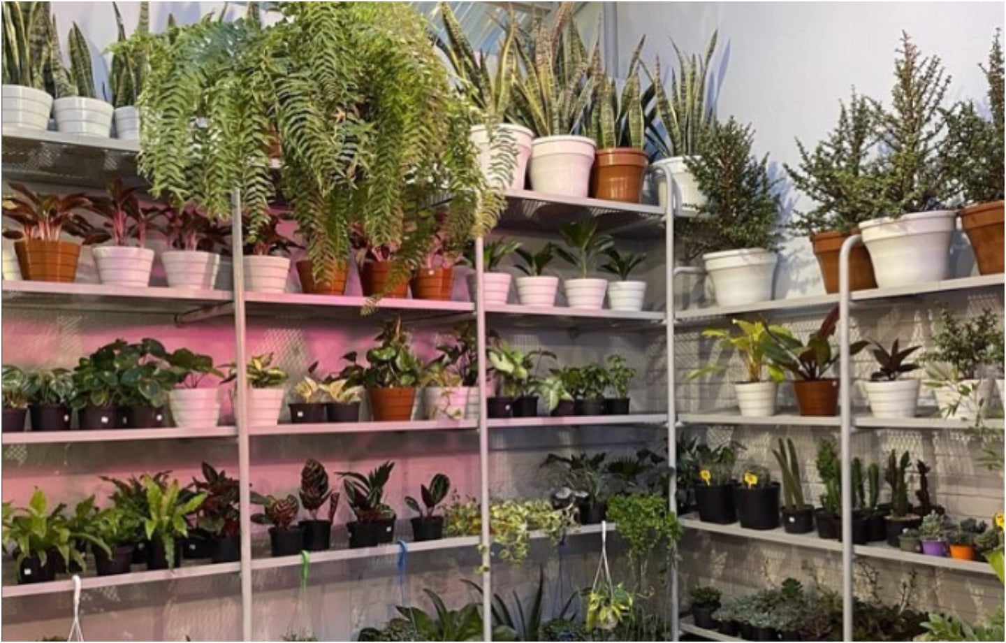 Hotel de plantas en Bogotá