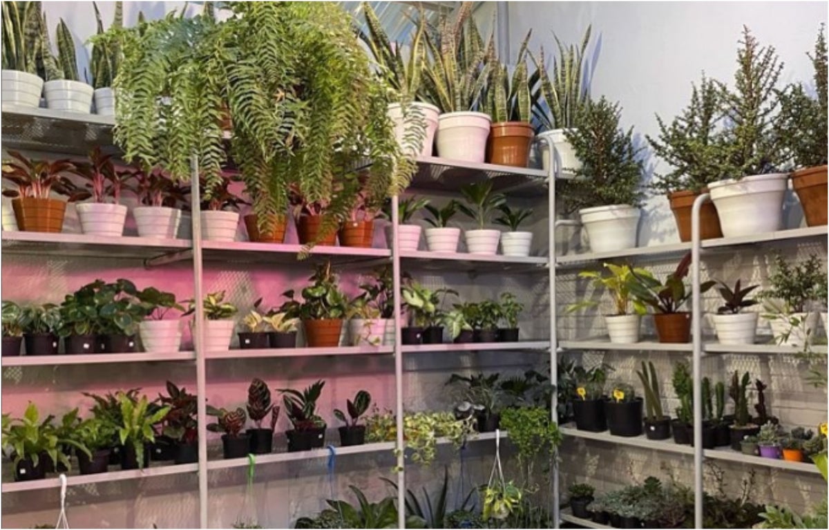 Hotel de plantas en Bogotá