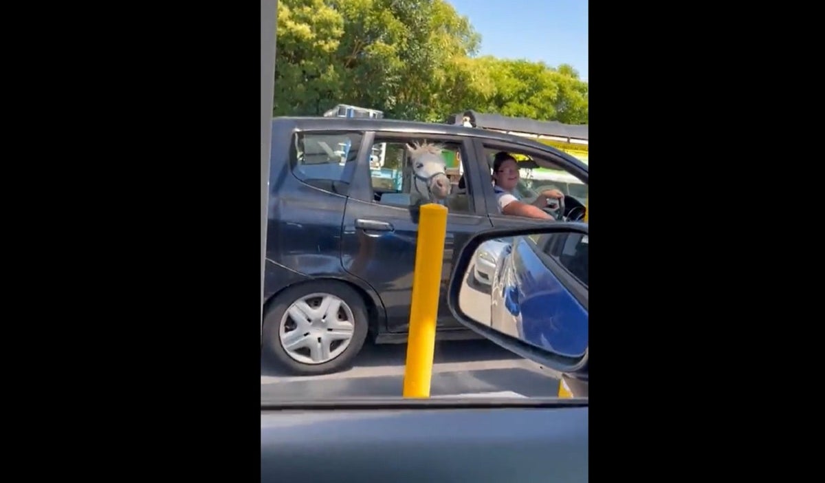 Mujer sacó a pasear a su caballo en el carro
