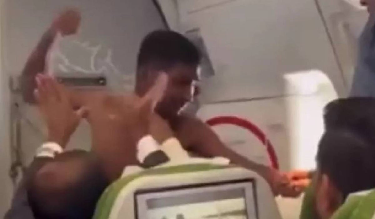 Pelea en avión