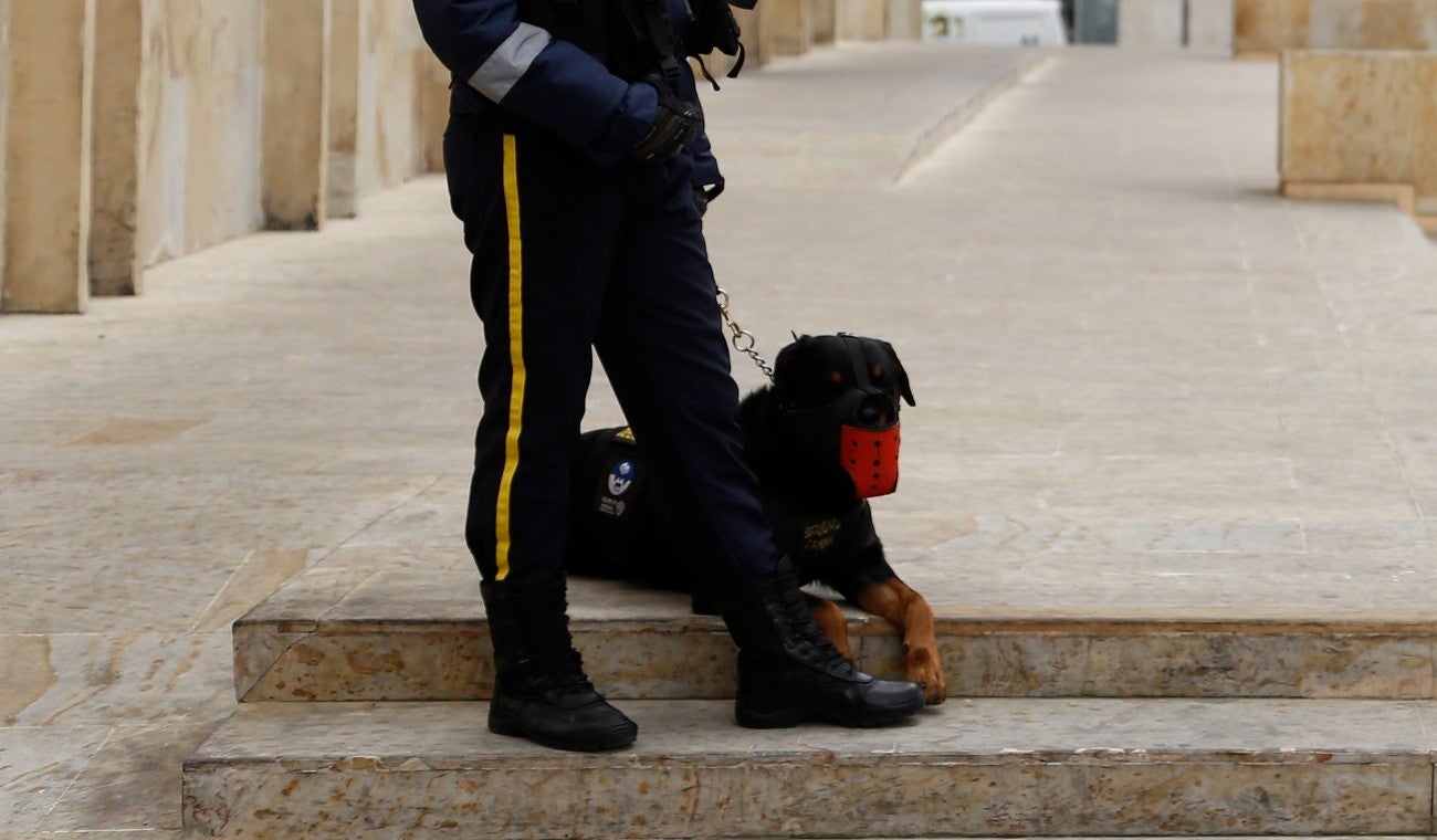 Perros de vigilancia y seguridad