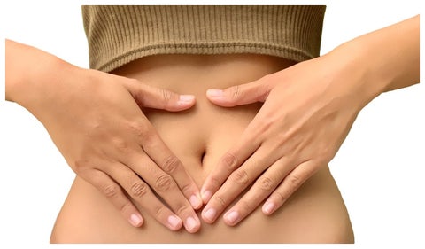Probióticos y los beneficios para la salud