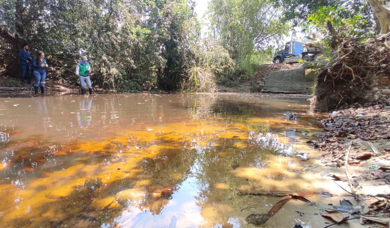 Mortandad de peces Puerto Wilches