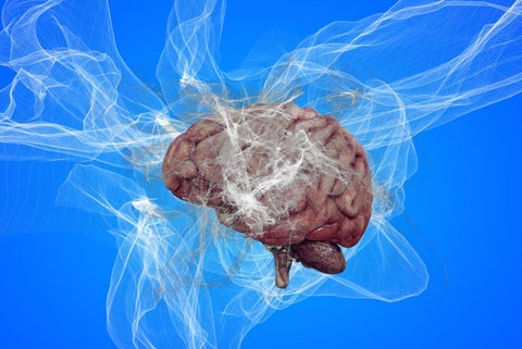 Imagen de un cerebro humano