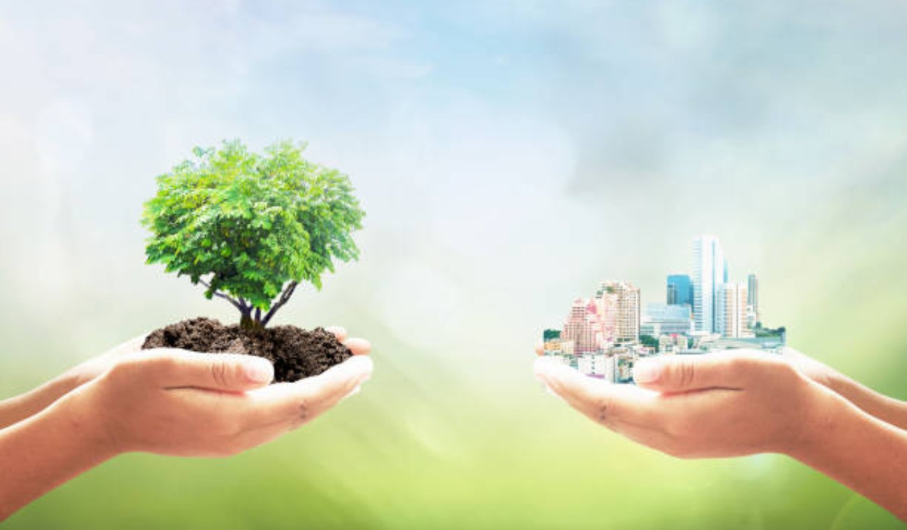 Emprendimientos sostenibles