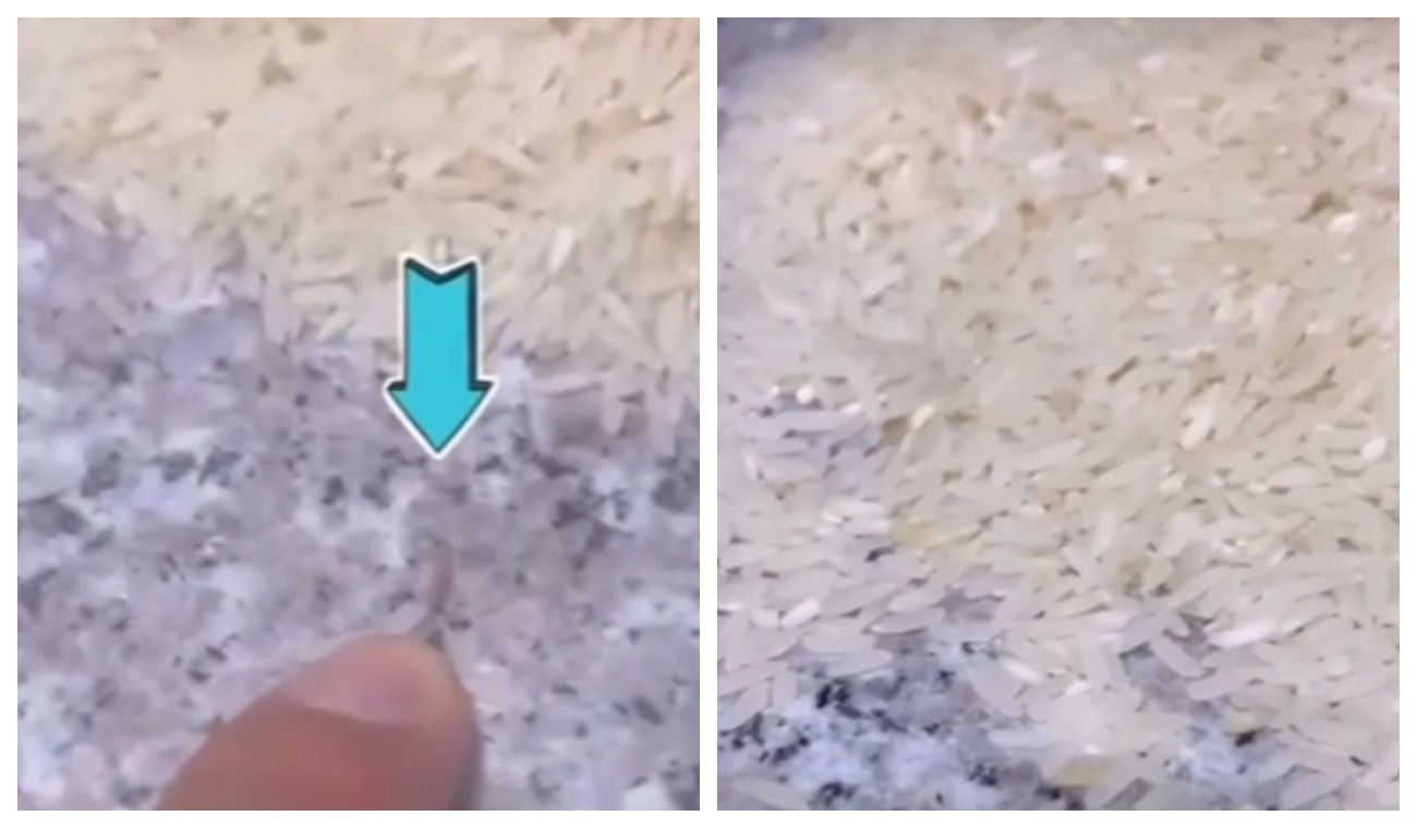 Gusanos en bolsa de arroz de actor de Padres e Hijos