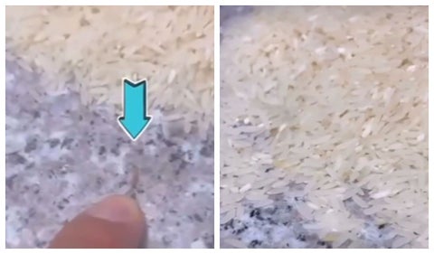 Gusanos en bolsa de arroz de actor de Padres e Hijos