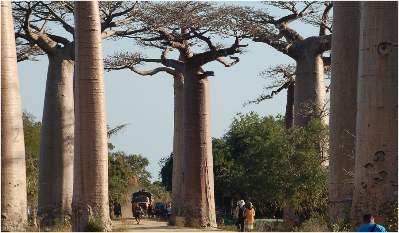 Madagascar