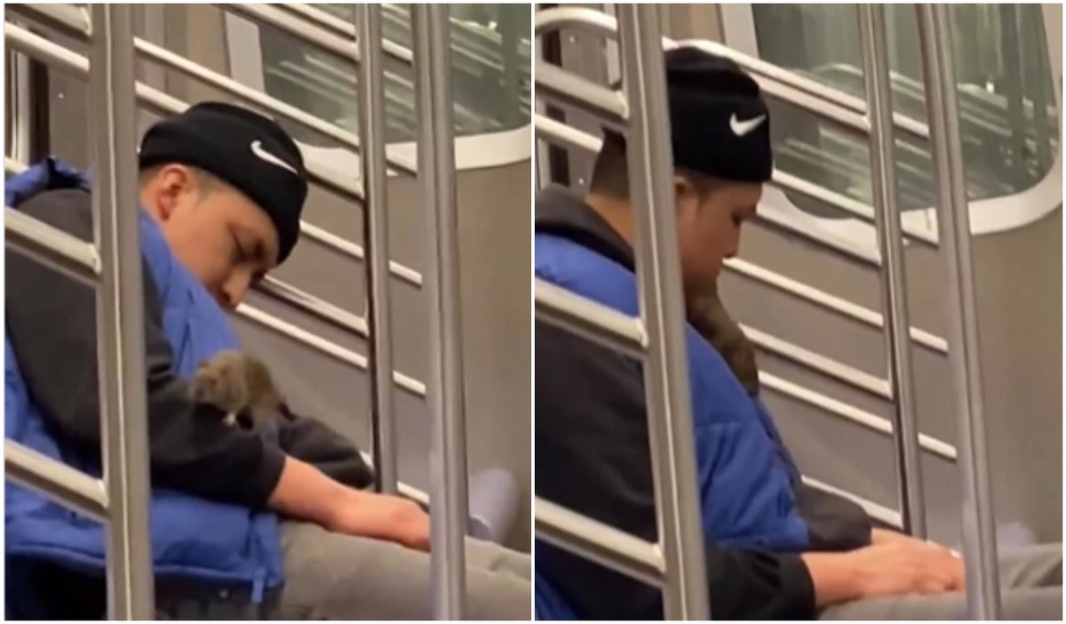 Rata gigante se pasea por la cara de un joven en Metro de Nueva York