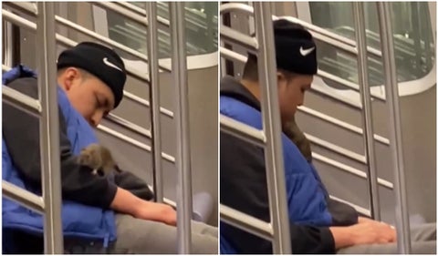 Rata gigante se pasea por la cara de un joven en Metro de Nueva York
