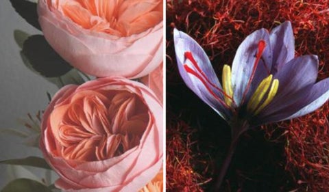Rosas más caras del mundo