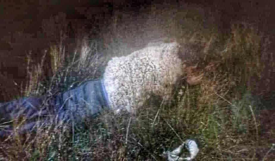 Hombre se disfrazó de oveja para escapar de la cárcel