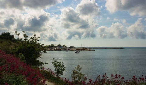 Sebastopol