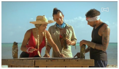 Survivor, isla de los famosos
