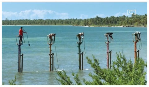 Survivor, la isla de los famosos