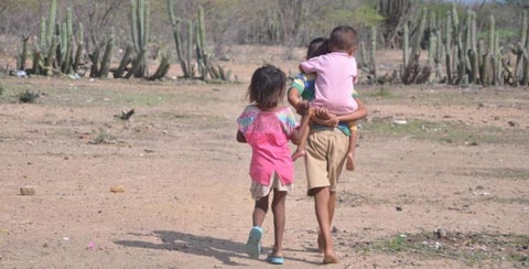Se ha establecido hoja de ruta para la disminución de muertes en menores