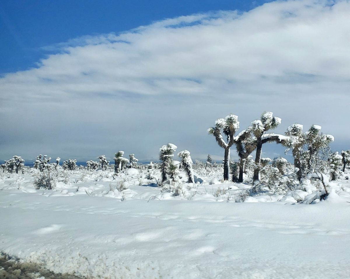 California azotada por una tormenta: cientos de casas 'enterradas' bajo la nieve