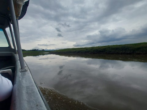 Siembra Río Bogotá