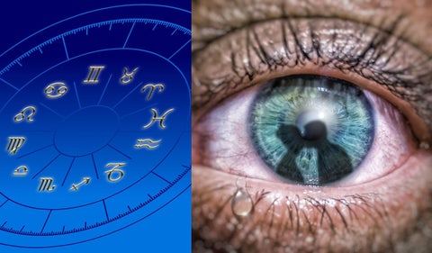 Signos zodiacales celosos