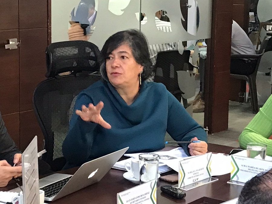 María del Pilar Ruiz
