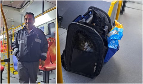 Conductor de Transmilenio adopta gato abandonado