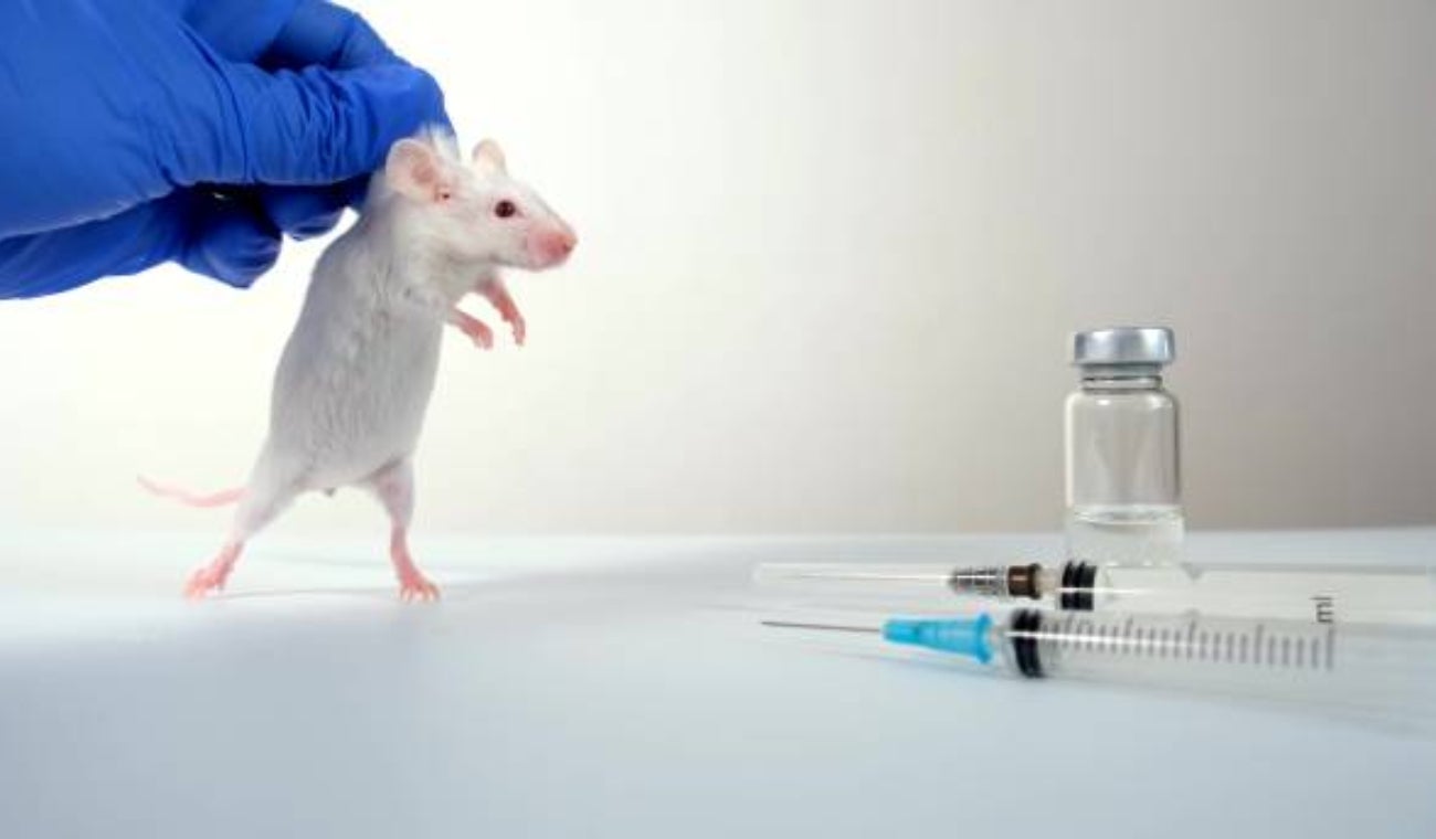 Experimentación con animales