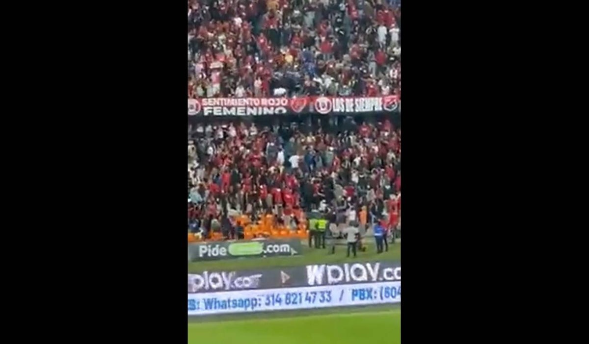 Hincha del Cali se lanza de la tribuna