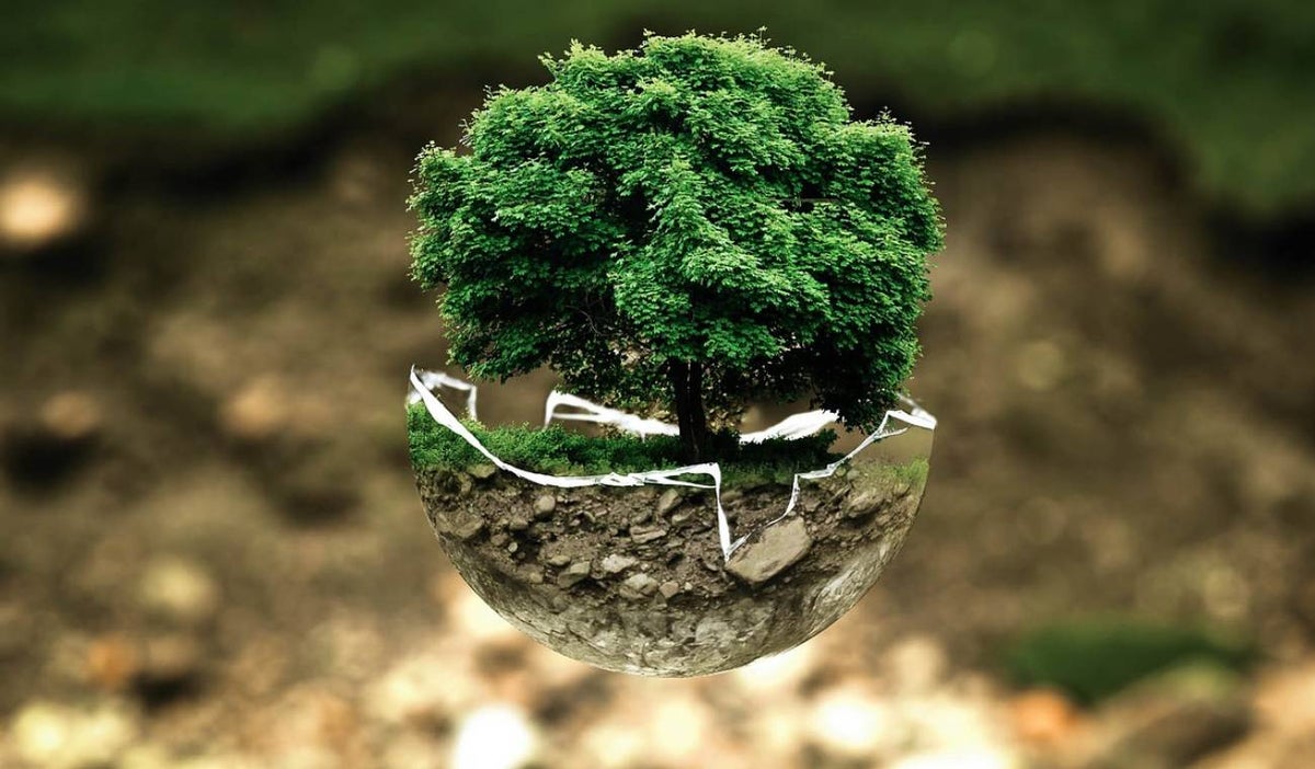 Medio ambiente