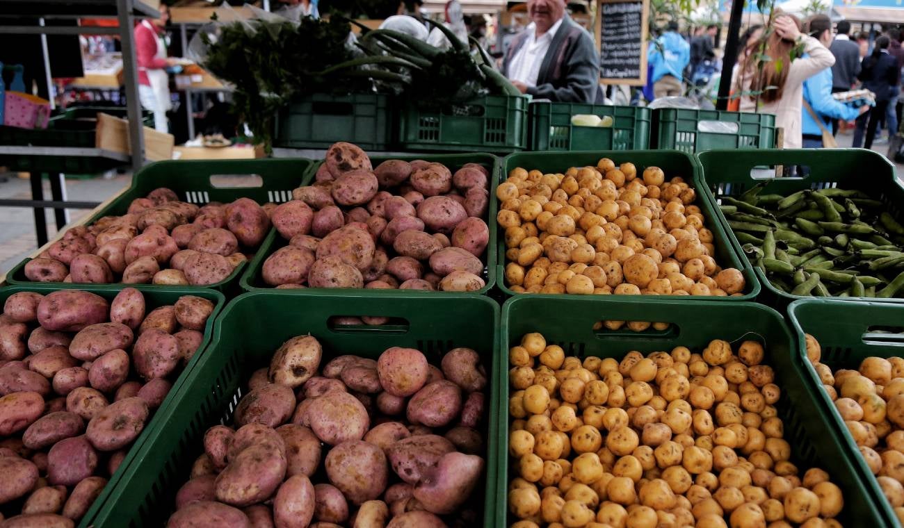 Mercado campesino