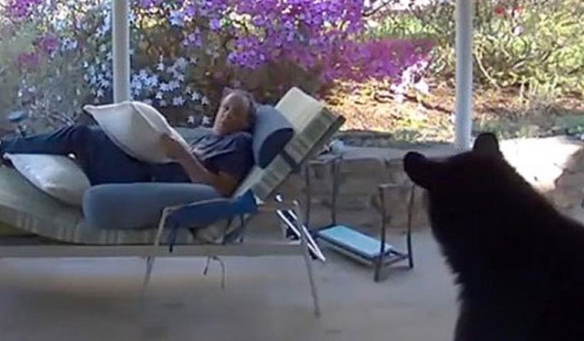 Oso sorprende a hombre en su casa