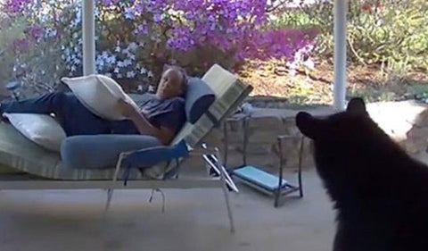 Oso sorprende a hombre en su casa
