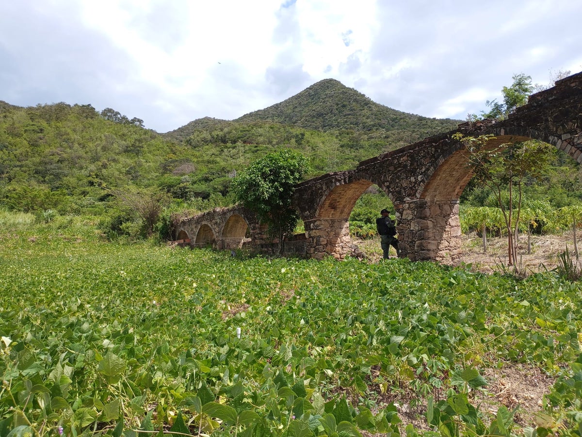 Hornos crematorios en la frontera