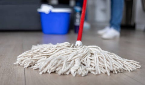 Estefanía Borge tuvo que limpiar apartamentos en Estados Unidos