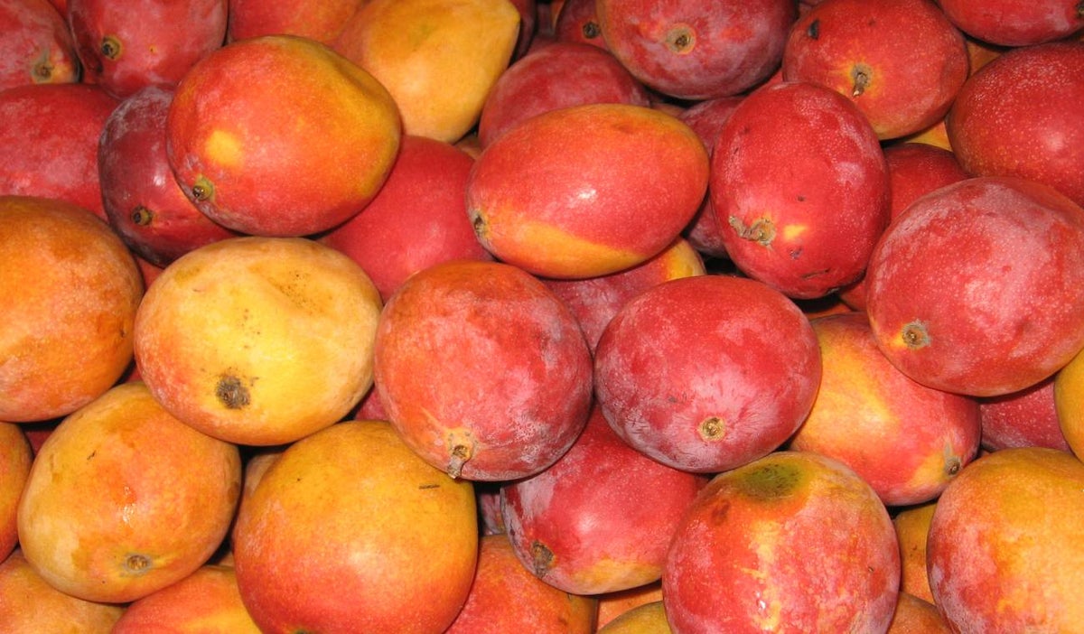 Mango