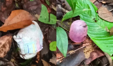 Niños desaparecidos en Guaviare, elementos hallados