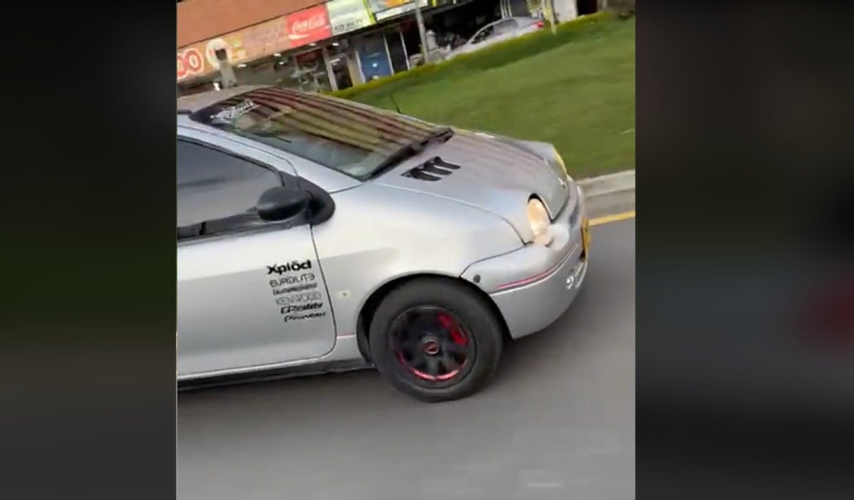 Twingoneta en TikTok