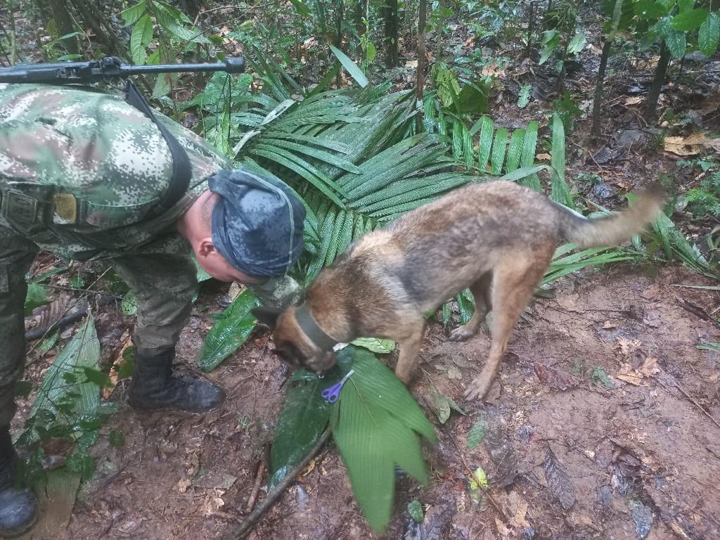 Se activaron las labores de búsqueda para hallar a ‘Wilson’