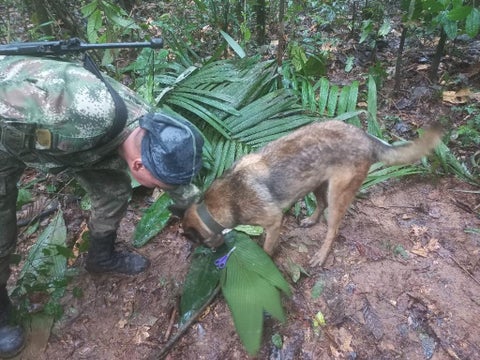 Se activaron las labores de búsqueda para hallar a ‘Wilson’