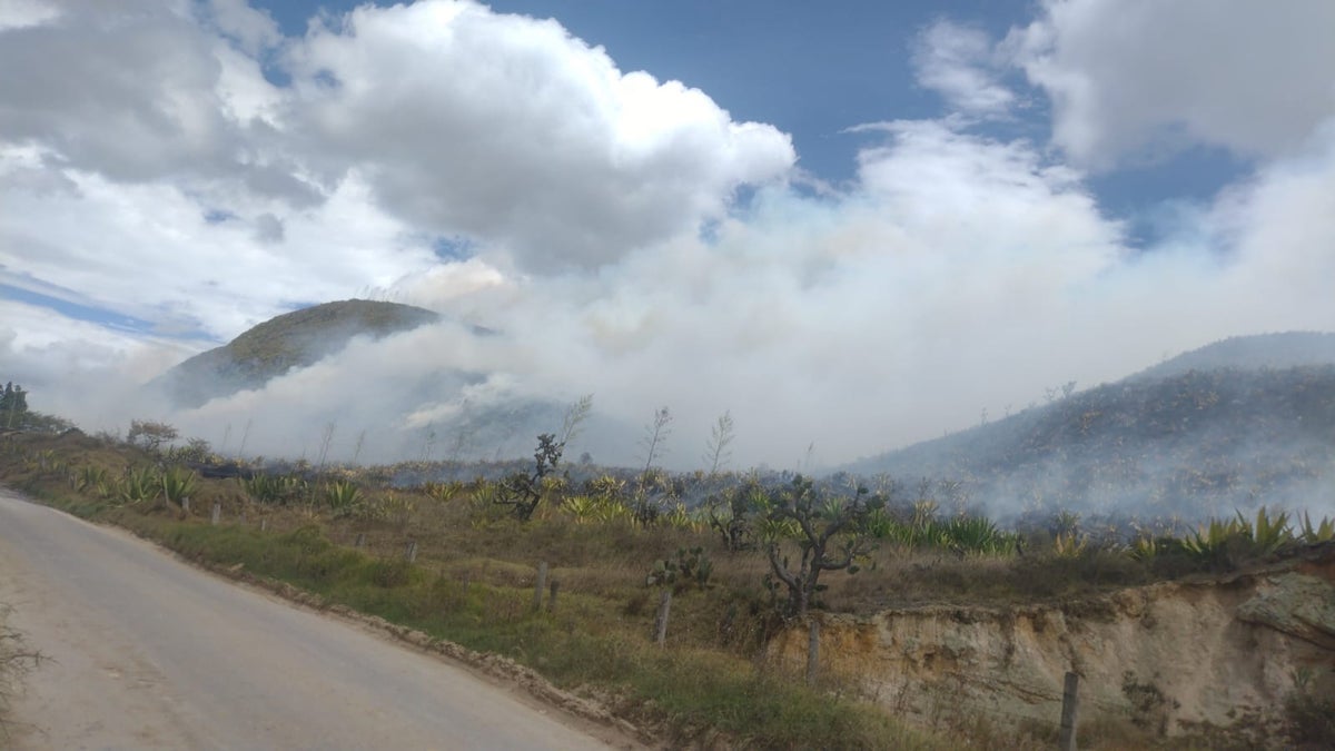 Incendio forestal