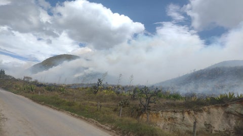 Incendio forestal