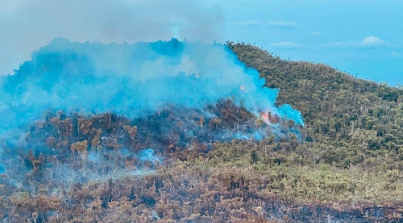 Incendio forestal en Providencia se reactivó debido a las altas temperaturas